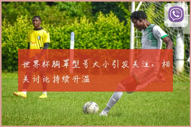 世界杯胸罩型号大小引发关注，相关讨论持续升温