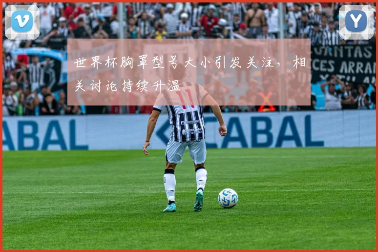 世界杯胸罩型号大小引发关注，相关讨论持续升温