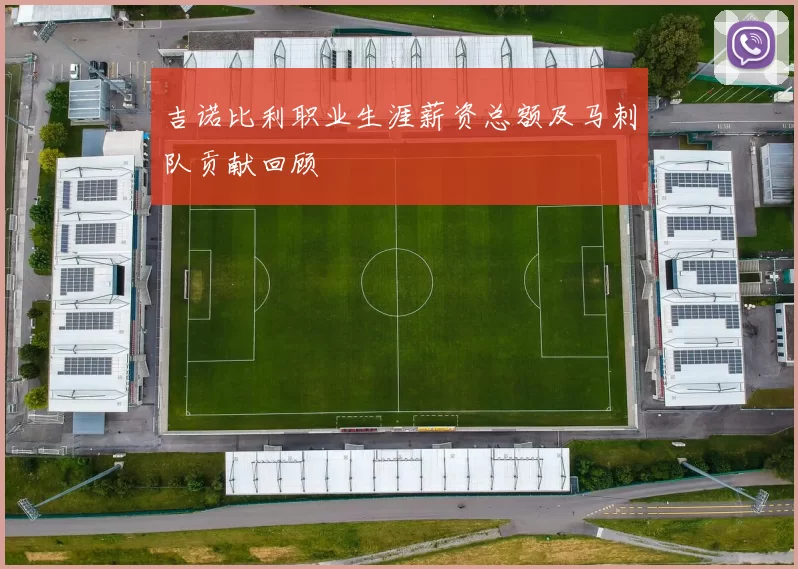 吉诺比利职业生涯薪资总额及马刺队贡献回顾