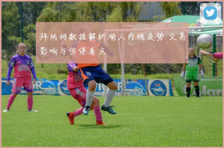 拜纳姆数据解析湖人内线走势 交易影响与伤停看点